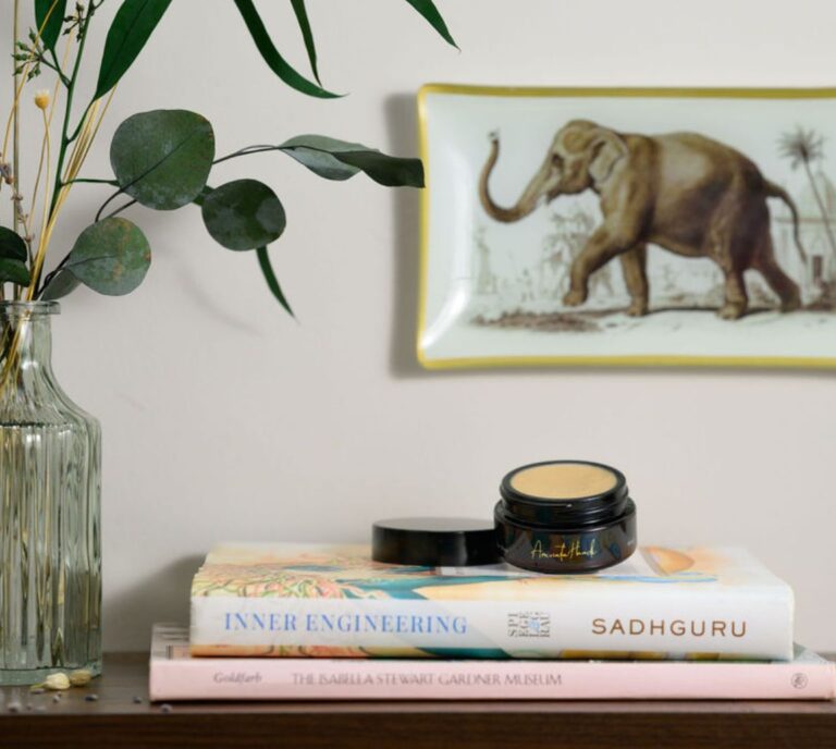 A book, a jar of Gold Coast Overnight Balm, and a lush plant elegantly arranged on a stylish shelf.