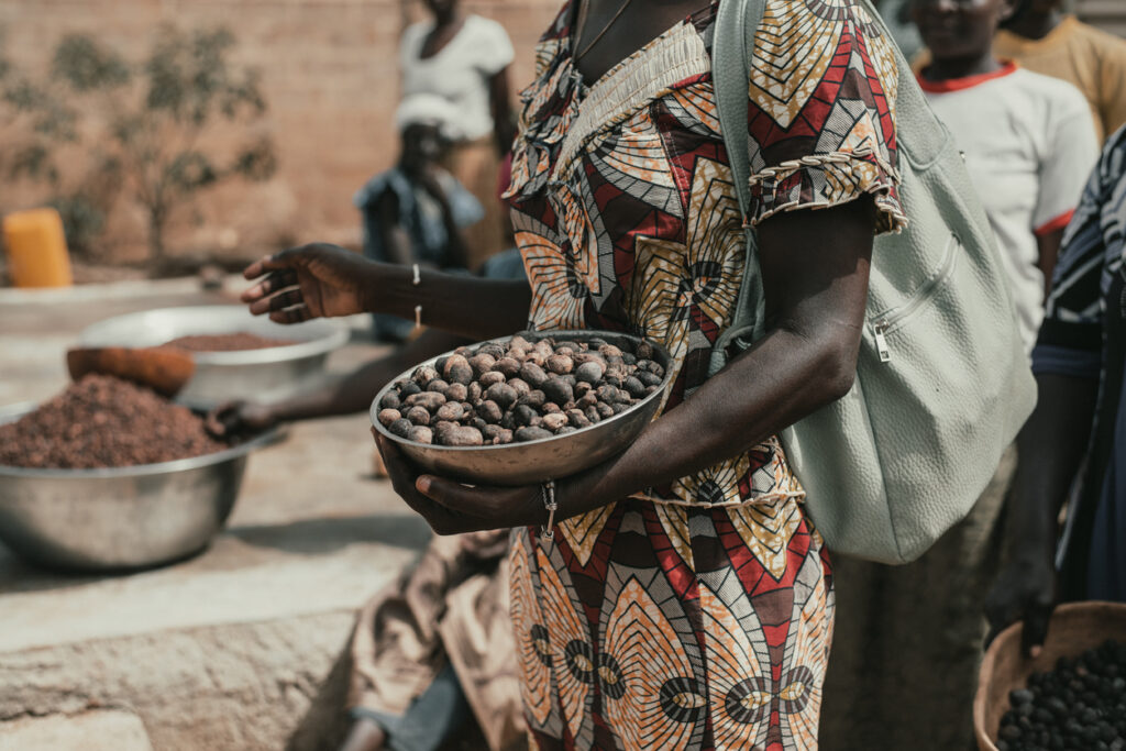 Woman harvesting raw shea nuts for body butter.