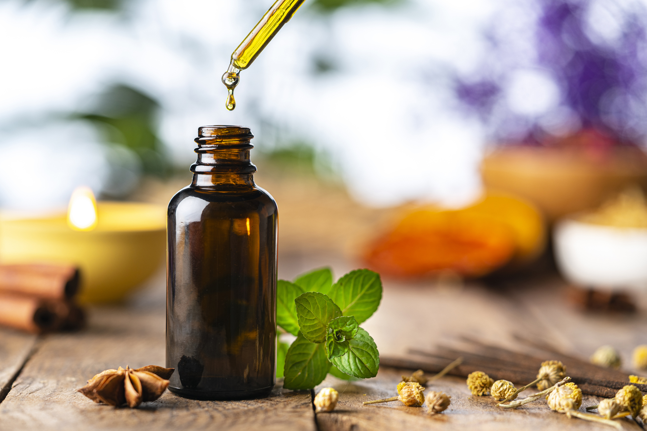 Babchi plant, bakuchiol serum, waterless skincare, holistic wellness