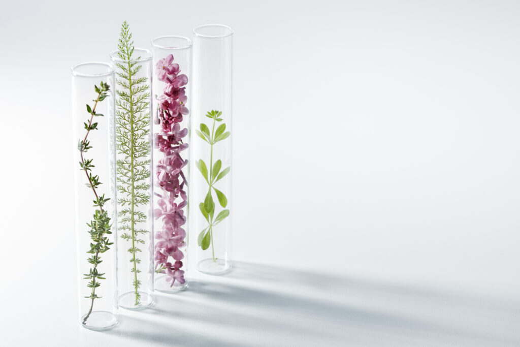 holistic wellness, bakuchiol serum, waterless skincare