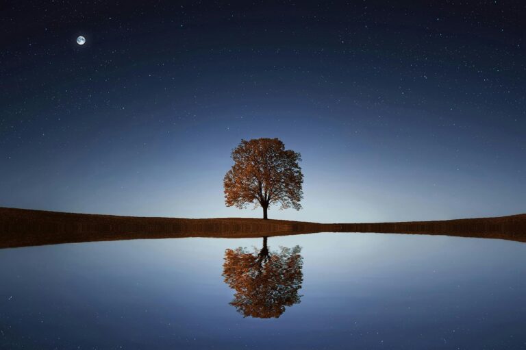 stillness, mindfulness, slow living