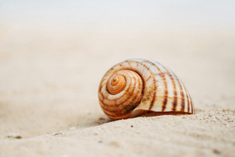 Holistic wellness, slow living, mindfulness,