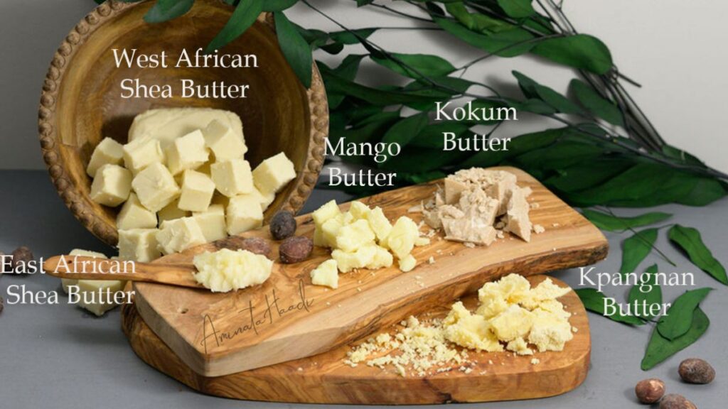 Botanical Body Butters Chart - raw shea butter, mango butter, kokum butter, nilotica shea butter, and cocoa butter.