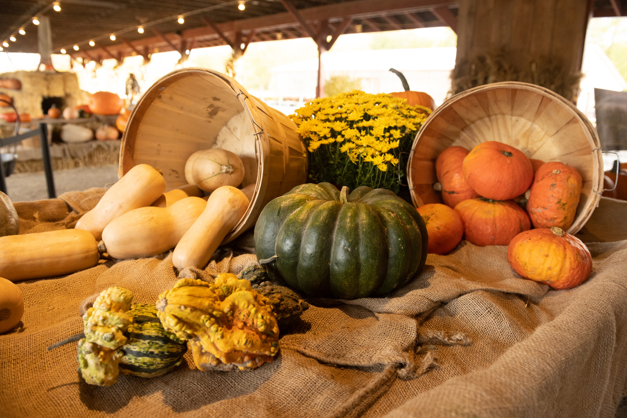 all vegetables, holistic wellness, wellness activities,