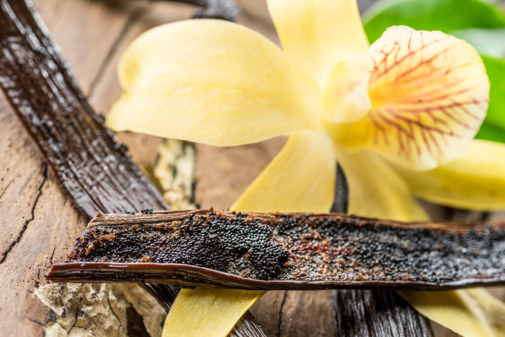 Madagascar vanilla beans used to infuse vanilla body oil. 