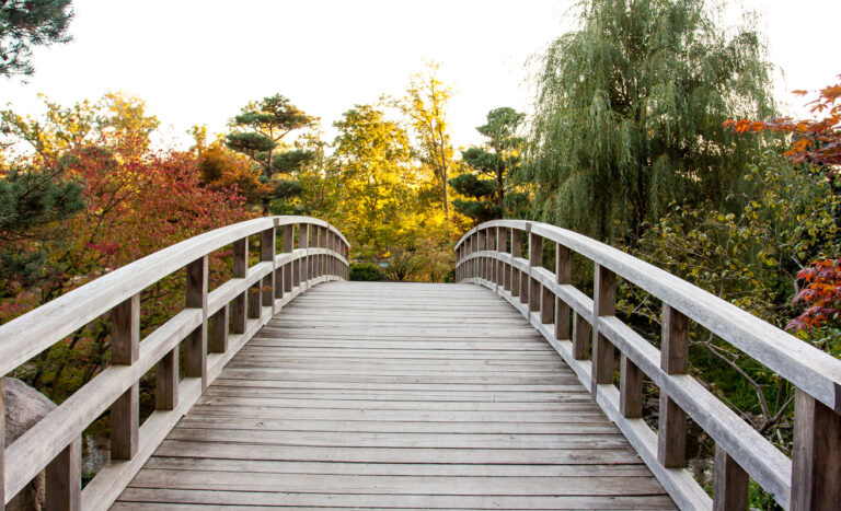 A bridge used for a feature photo in Reflection Journal Entry.